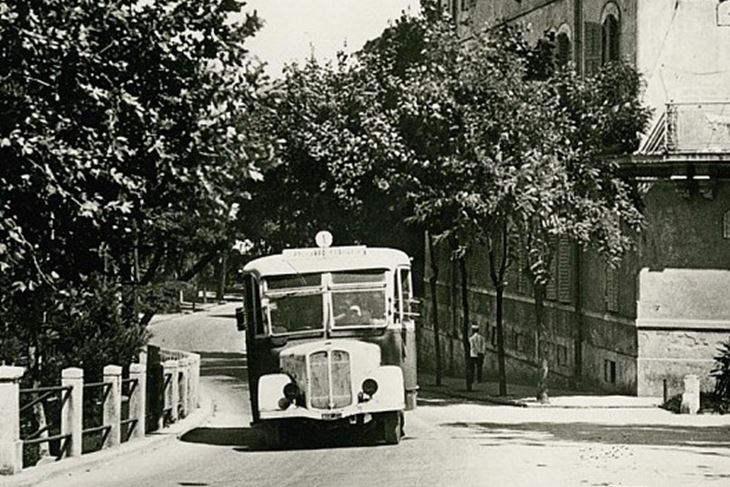 (Foto: Arhiv David Orlović)