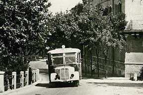 (Foto: Arhiv David Orlović)