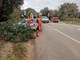(Foto: JVP Rovinj - Rovigno)
