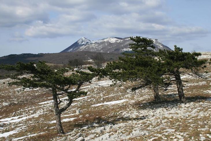 Učka, najviša istarska planina