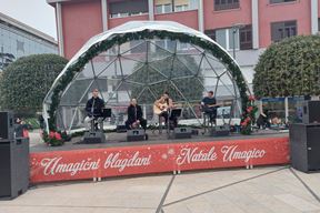 Nastup grupe The Molly u Umagu (Snimila Sanja Bosnić)