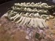 ŠKOLA KUHANJA BY THE OUTLAW CHEF: Tagliatelle alla Murdoc