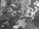 Bombardiranje Pule 1944.