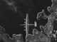Porušena Pula: Jeretova ulica nakon savezničkog bombardiranja 9. siječnja 1944. godine 