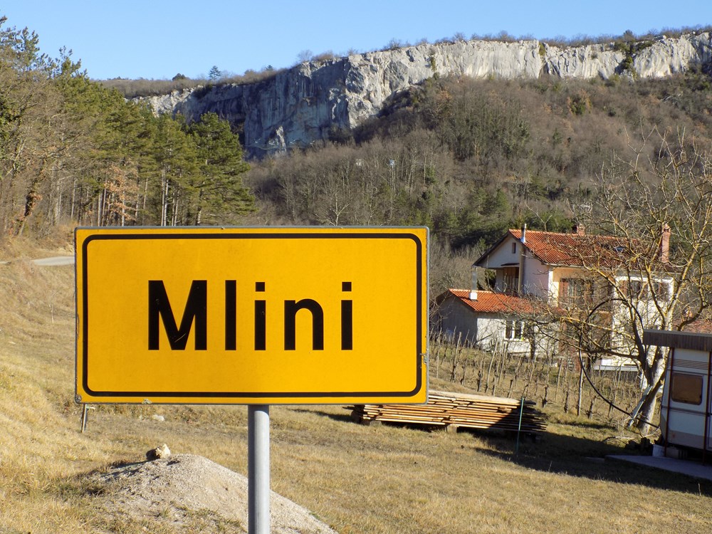 Mlini 