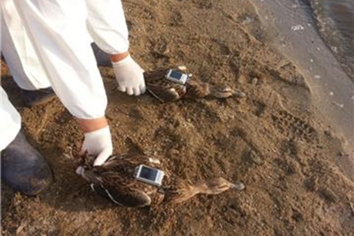 (Hina/EPA)