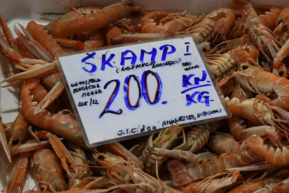 Škampi (Snimio Milivoj Mijošek)