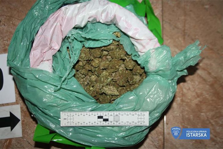 U pretrazi stana rovinjskog dilera sudjelovao je i policijski pas Duks (Foto: PU Istarska)