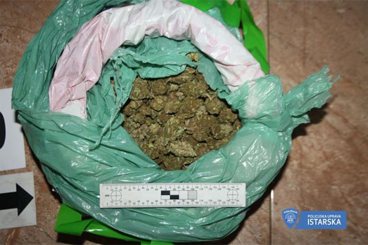 U pretrazi stana rovinjskog dilera sudjelovao je i policijski pas Duks (Foto: PU Istarska)