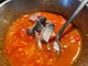 ŠKOLA KUHANJA BY THE OUTLAW CHEF: Salatin od šura