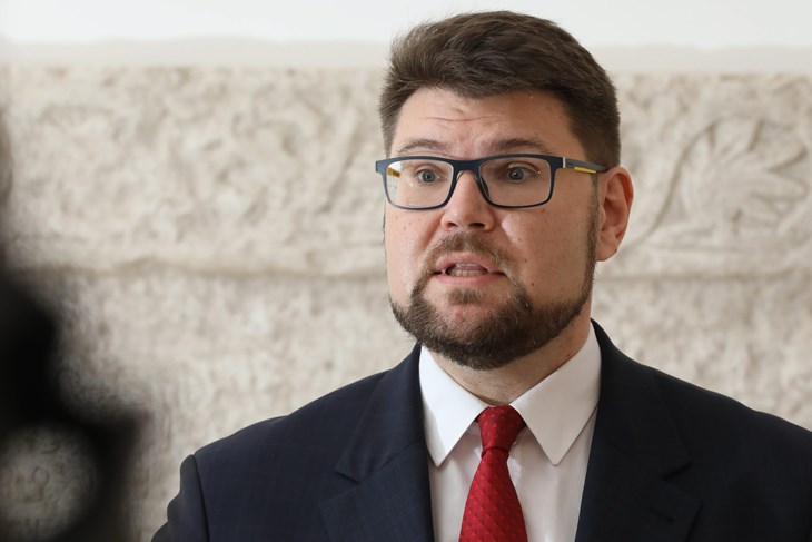 Peđa Grbin (Snimio Damjan Tadić / Cropix)