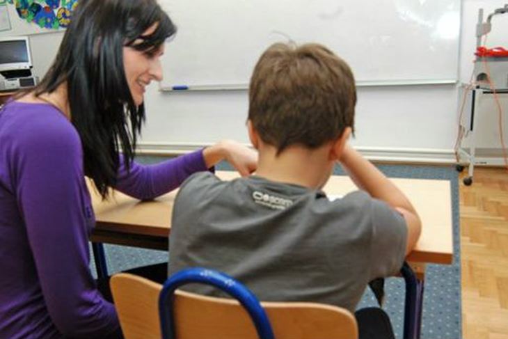 Pomocnici u nastavi