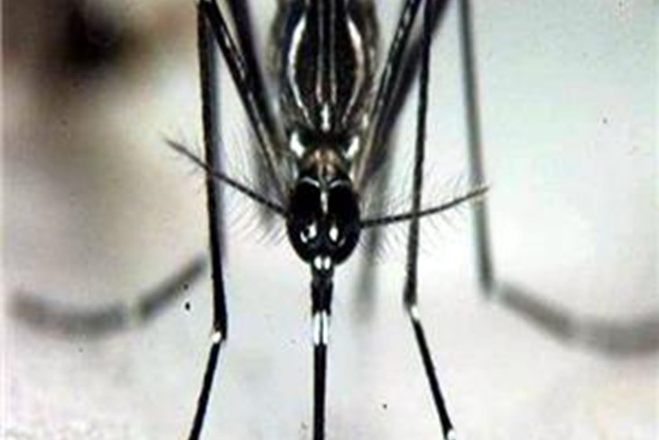 (Hina/EPA)