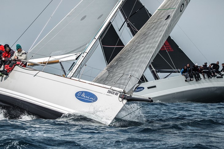 Regata CRO ORC D-Marin Cup
