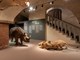 (Foto: Museo Salvatore Ferragamo)