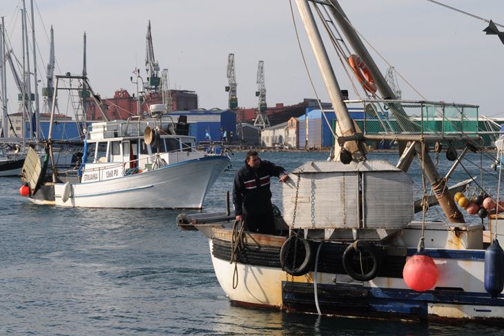 Kočarima se ne piše dobro (Snimio Dejan Štifanić)