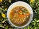 ŠKOLA KUHANJA BY THE OUTLAW CHEF: Juha "alla primavera"
