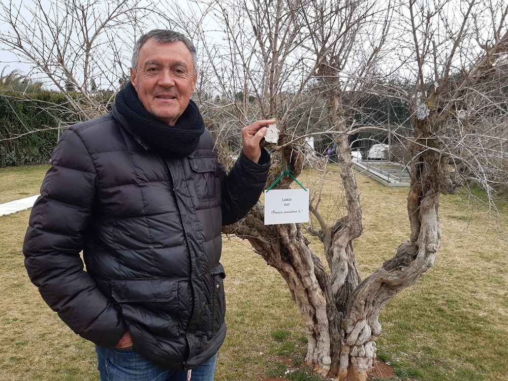 Željko Prgomet (Snimio Aldo Pokrajac)