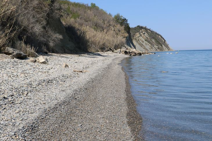 Bele skale 