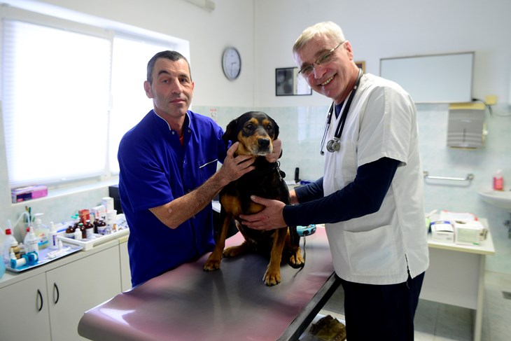 Veterinar Mikele Medica (Snimio Dejan Štifanić)