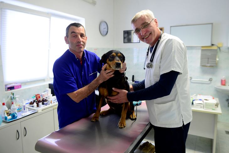 Veterinar Mikele Medica (Snimio Dejan Štifanić)