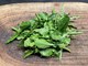 ŠKOLA KUHANJA BY THE OUTLAW CHEF: Energy Salatin