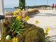 Grad Poreč