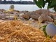 (Foto Grad Poreč)