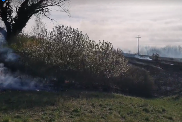 Požar kod Muntrilja (Istramet screenshot)