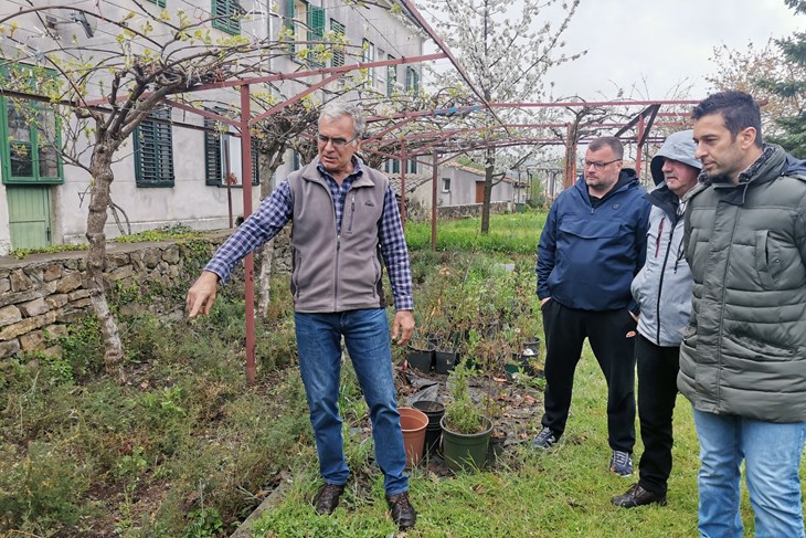 Šime Martinović besplatno prenosi svoja iskustva u uzgoju divljih šparuga (Snimio Branko Biočić)