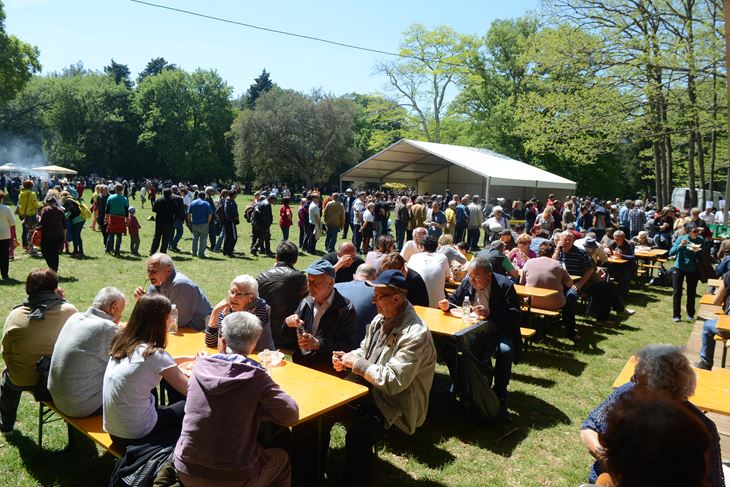 Ovako je to bilo za 1. maj 2017. (snimio Dejan ŠTIFANIĆ)