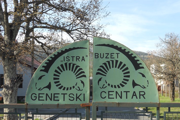 Ulaz  u genetksi centar na Ćićariji (Arhiv)