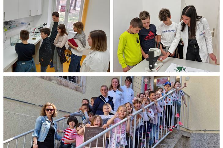 (Foto : Tehnički fakultet  /  Fakultet prirodnih znanosti)