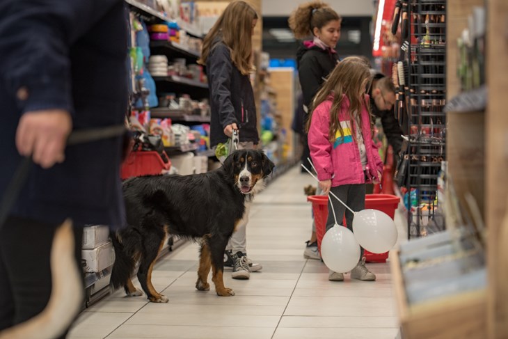 Otvara se novi Pet centar u Puli