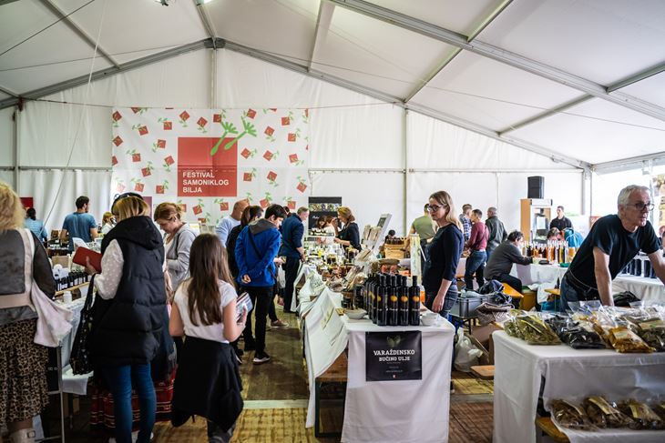 (Foto: Festival samoniklog bilja Kršan)