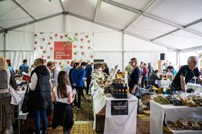 (Foto: Festival samoniklog bilja Kršan)