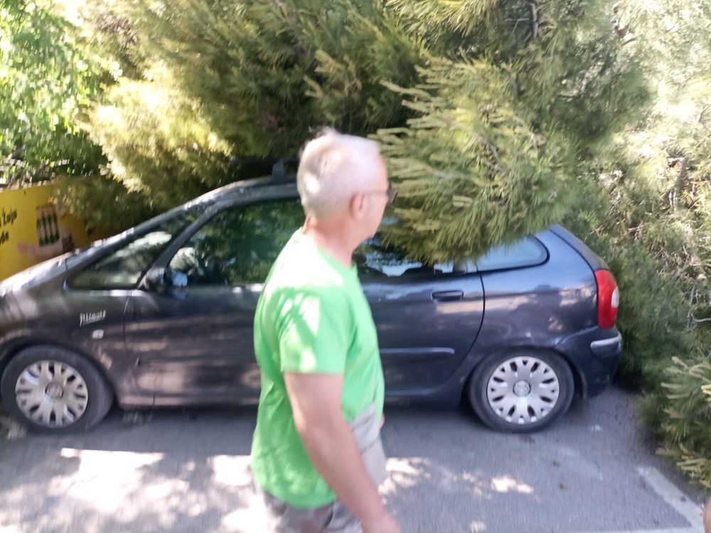 (snimio Cristian Bruno Galić)