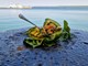 SxKOLA KUHANJA BY THE OUTLAW CHEF: Salatin od paprike "alla Bobby"