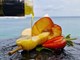 ŠKOLA KUHANJA BY THE OUTLAW CHEF: Nasukana breskva na hridi od kruške