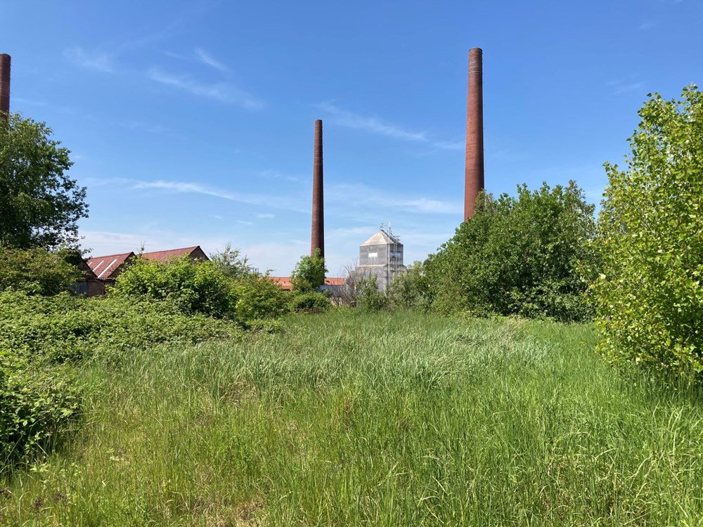 (Foto: Wienerberger)