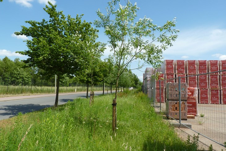(Foto: Wienerberger)