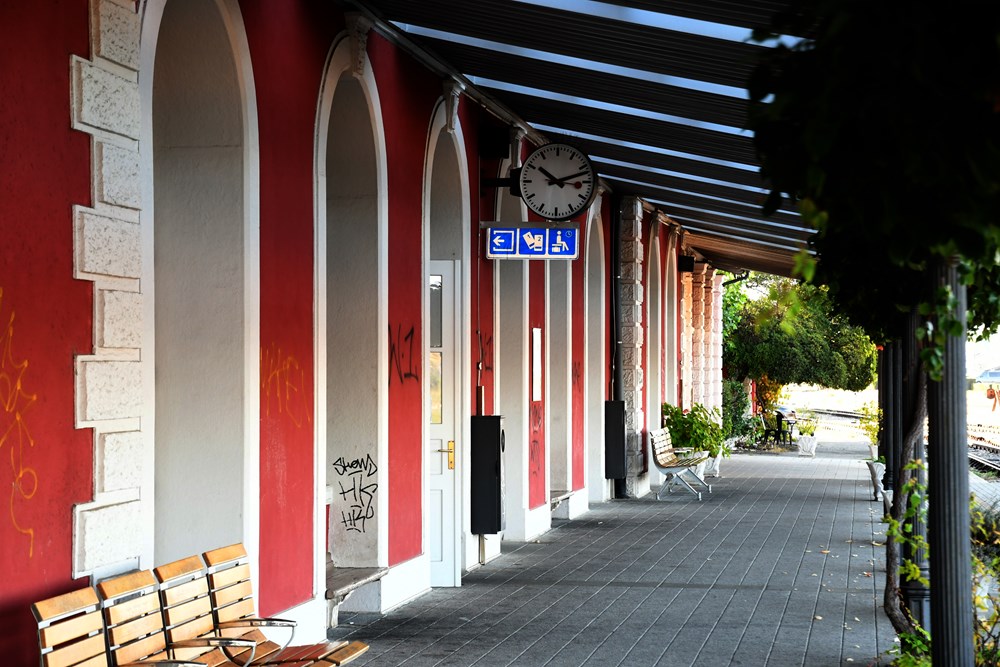 Jedan od istarskih vlakova (snimio Duško MARUŠIĆ ČIČI)