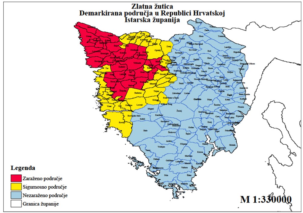 Demarkirano područje zlatne žutice u Istri