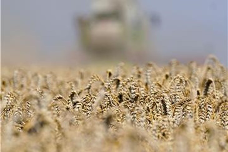 (Hina/EPA)