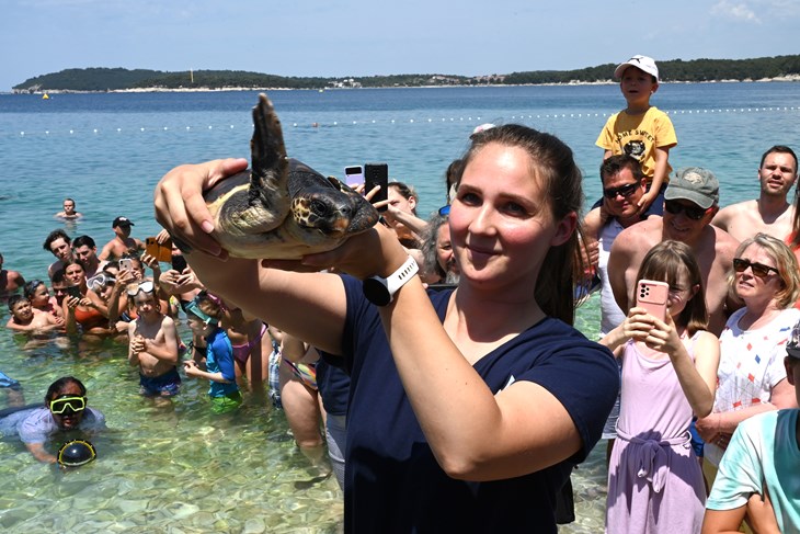 Nakon devet mjeseci oporavka mala trogodišnja kornjačica Victoria puštena je u divljinu u pratnji nekoliko stotina okupljenih građana i turista (snimio Danilo MEMEDOVIĆ)