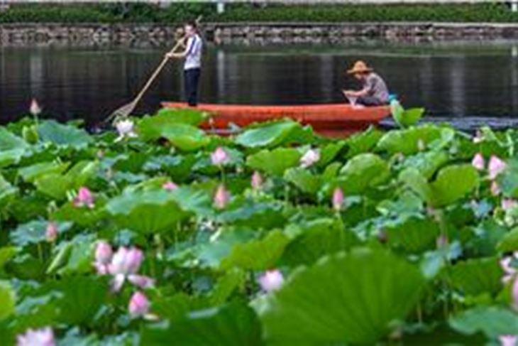 (Hina/EPA)