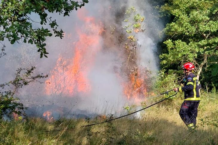 (Foto: JVP Poreč)