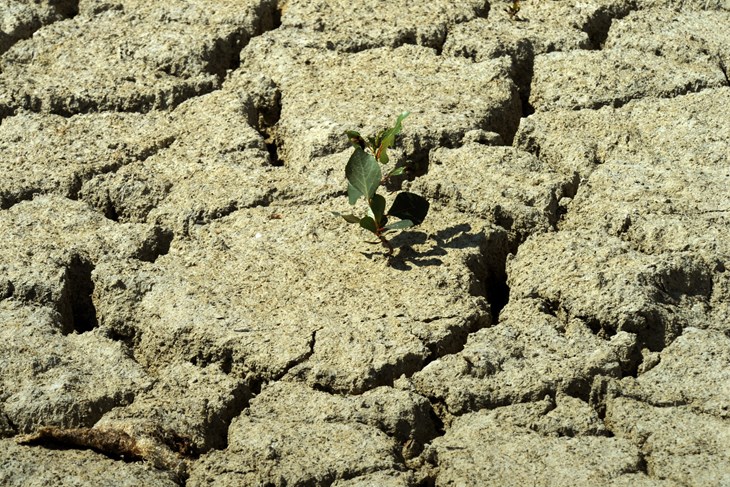 Ilustracija (Snimio Milivoj Mijošek)