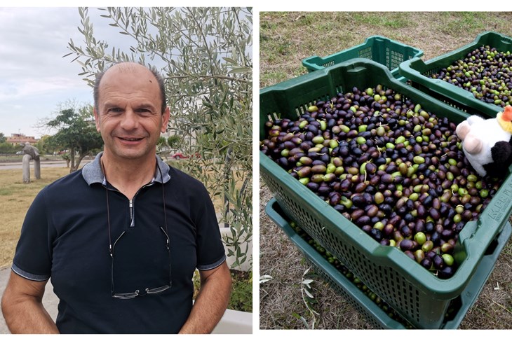 Žao mi je kada vidim puno zapuštenih maslinika, najviše ih ima u općini Fažana - Alen Štucin