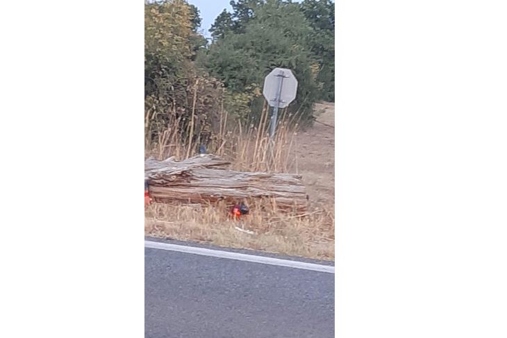 Upaljeni lampion prevrnuo se u suhoj travi - srećom, nije izbio požar (Foto: čitateljica)